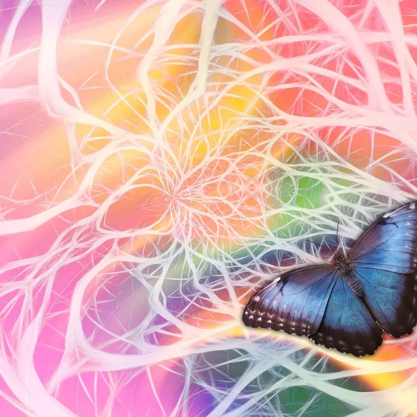 Symbolbild: Blauer Schmetterling vor neuronalen Strukturen – Thema entzündliche Erkrankungen des Nervensystems