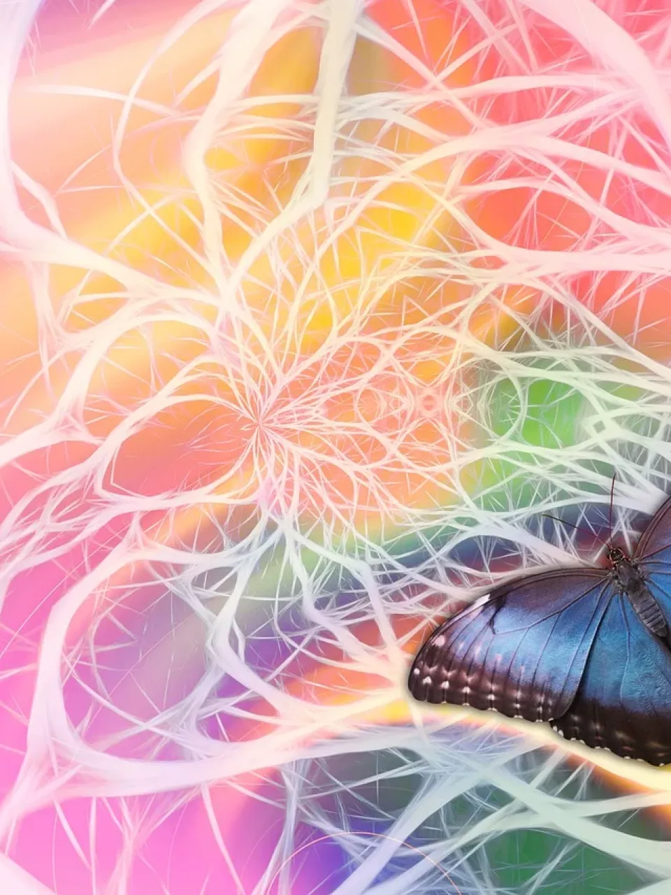 Symbolbild: Blauer Schmetterling vor neuronalen Strukturen – Thema entzündliche Erkrankungen des Nervensystems